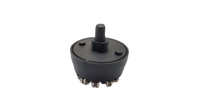 Rotary switch